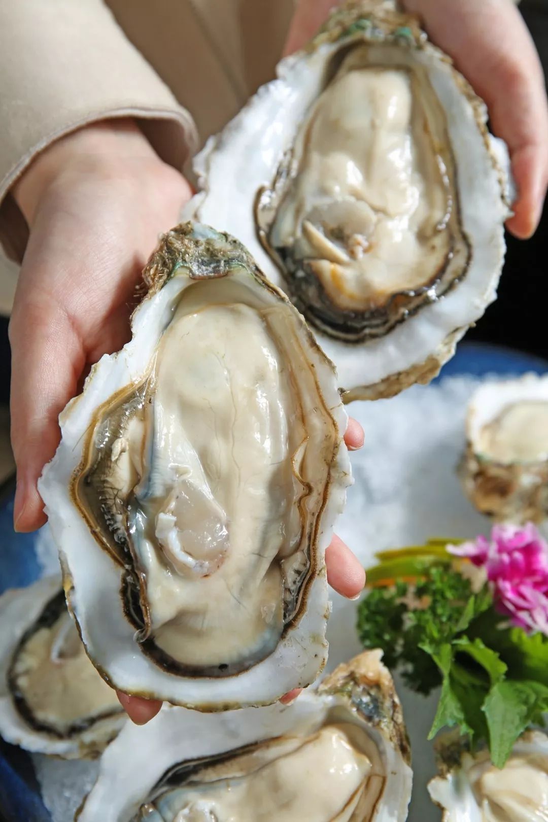 北京市首家街镇级基层“卫生+文旅”健康联盟签约