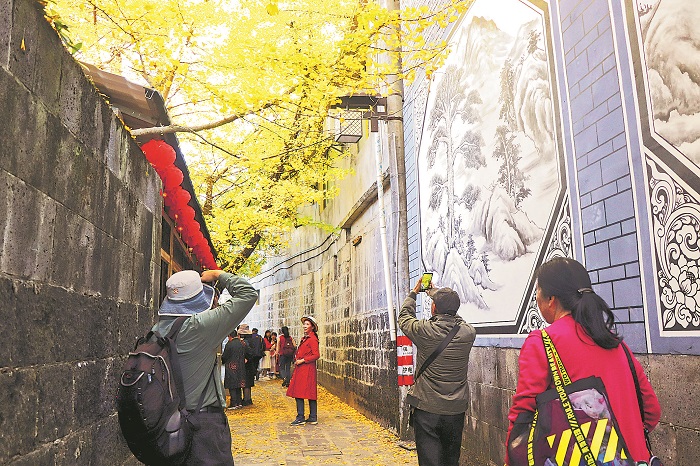 在银杏村体验“人在画中游”