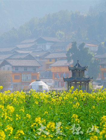 【大美中国】古城春意浓