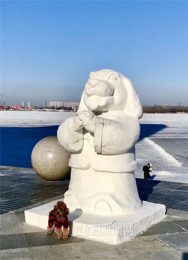 “哈尔滨的冰雪是热的”