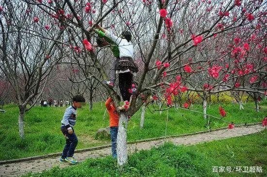 网红景点莫成“半拉子”工程