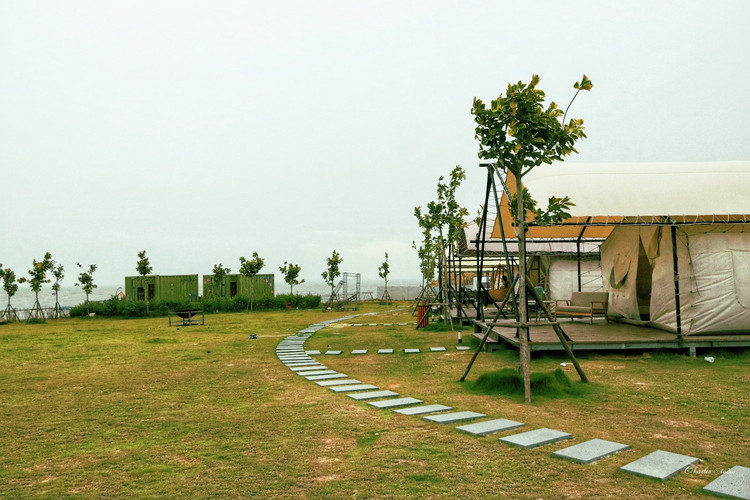 治低血压“秘方”：白酒泡红景天